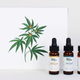 Plant People Holiday Flight Trio, $50